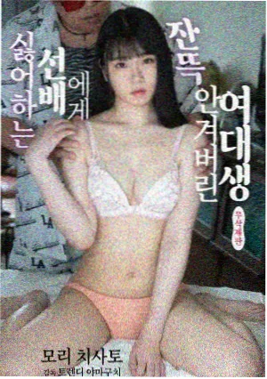 旧城手记剧集缩略图